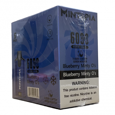 MINT PIA 6000 PUFFS BLUEBERRY MINTY O'S